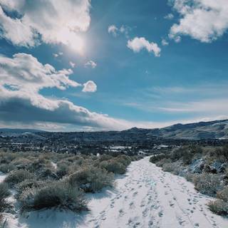 Reno Nevada wallpaper