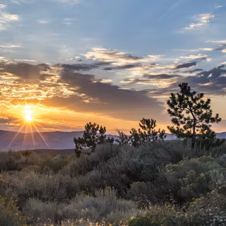 Reno Nevada wallpaper