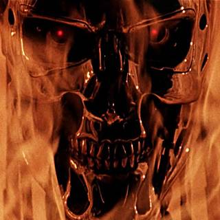 Cult movies wallpaper