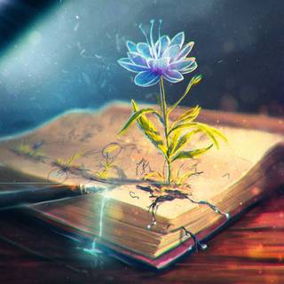 Pen and book wallpaper