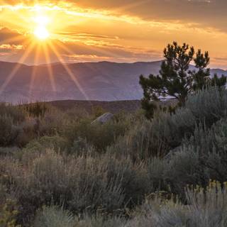 Reno Nevada wallpaper