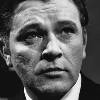 Richard Burton wallpaper