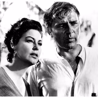 Richard Burton wallpaper