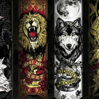 Lion and wolf wallpaper