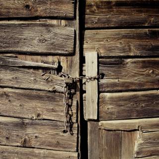 Wood door wallpaper