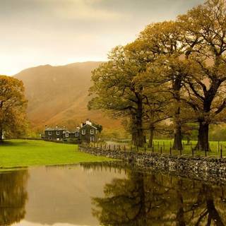 French country wallpaper