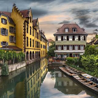 French country wallpaper