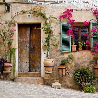 French country wallpaper