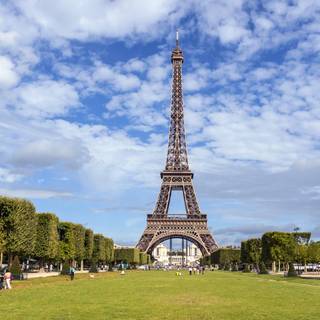 French country wallpaper