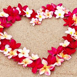 Heart design wallpaper