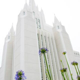 LDS temples wallpaper