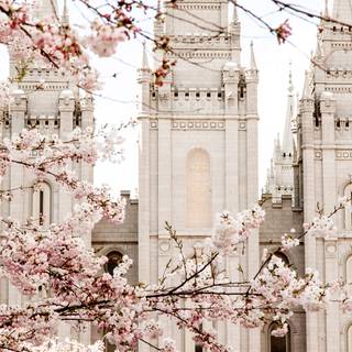 LDS temples wallpaper
