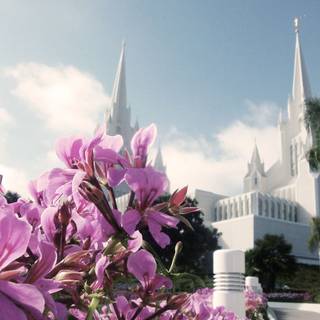 LDS temples wallpaper