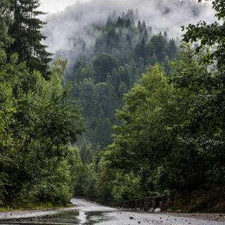 Rainy mountains wallpaper