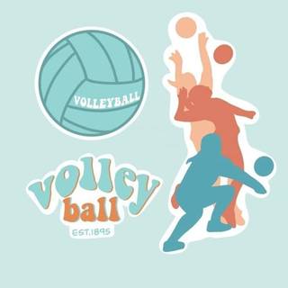 Volleyball girl wallpaper