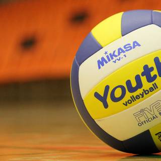 Volleyball girl wallpaper