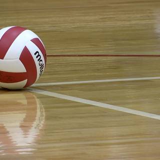 Volleyball girl wallpaper