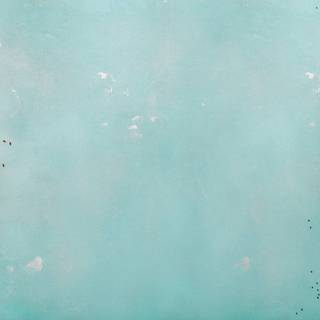 Fresh food wallpaper