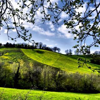 1366x768 spring wallpaper