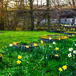 1366x768 spring wallpaper