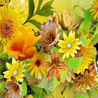 1366x768 spring wallpaper