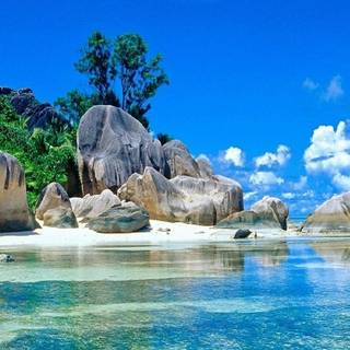 Tropical summer iPhone wallpaper