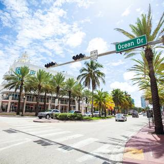 Miami 2023 wallpaper