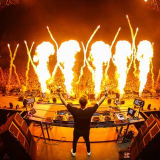 Miami 2023 wallpaper