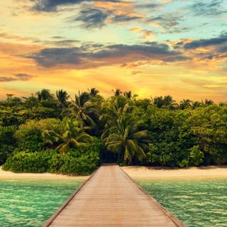 Tropical summer iPhone wallpaper