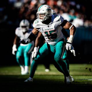 Miami 2023 wallpaper