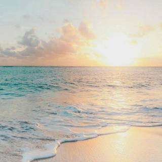 Tropical summer iPhone wallpaper