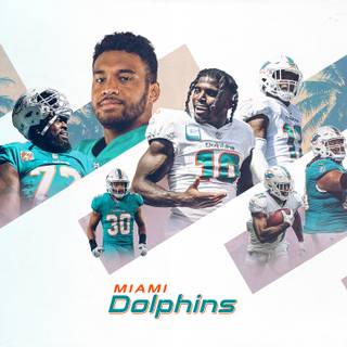 Miami 2023 wallpaper
