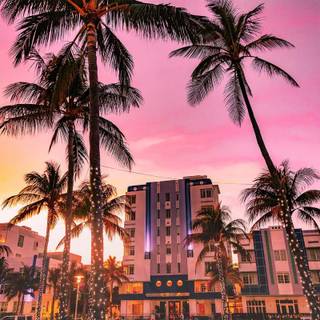 Miami 2023 wallpaper