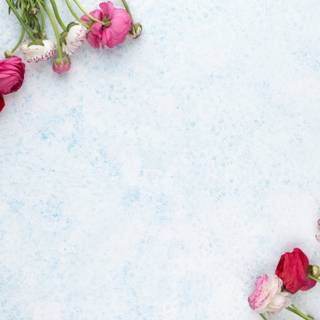 Spring flower desktop wallpaper