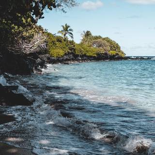 Tropical summer iPhone wallpaper