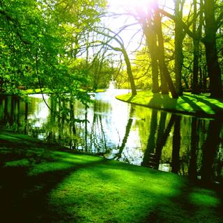 Green spring desktop wallpaper