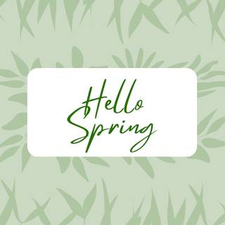 Green spring desktop wallpaper