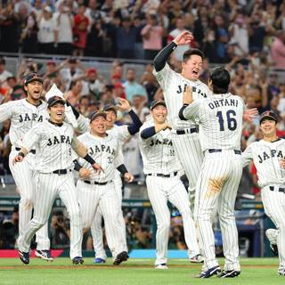 Miami 2023 wallpaper