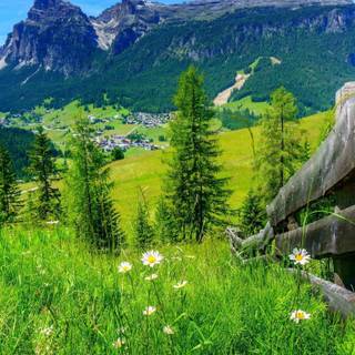 1366x768 spring wallpaper