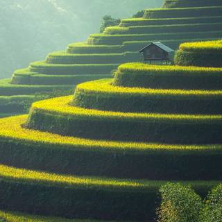 Green spring desktop wallpaper