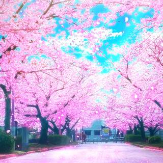 1366x768 spring wallpaper