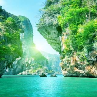 Beautiful nature summer wallpaper