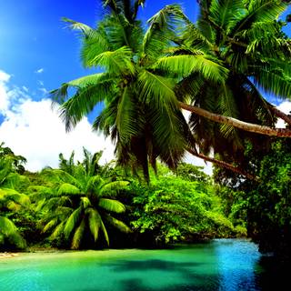 Beautiful nature summer wallpaper