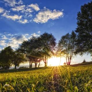 Beautiful nature summer wallpaper