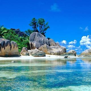 Beautiful nature summer wallpaper