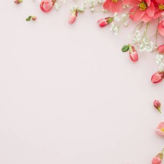 1366x768 spring wallpaper