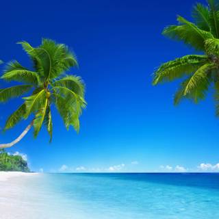 5k summer Ultra HD wallpaper