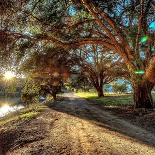 5k summer Ultra HD wallpaper