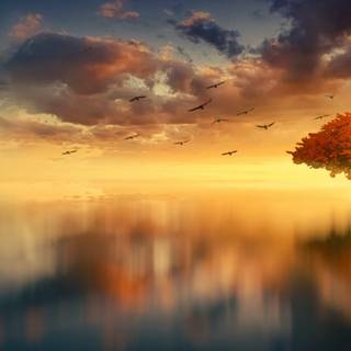 5k summer Ultra HD wallpaper