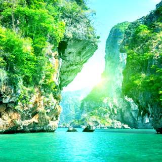 Beautiful nature summer wallpaper